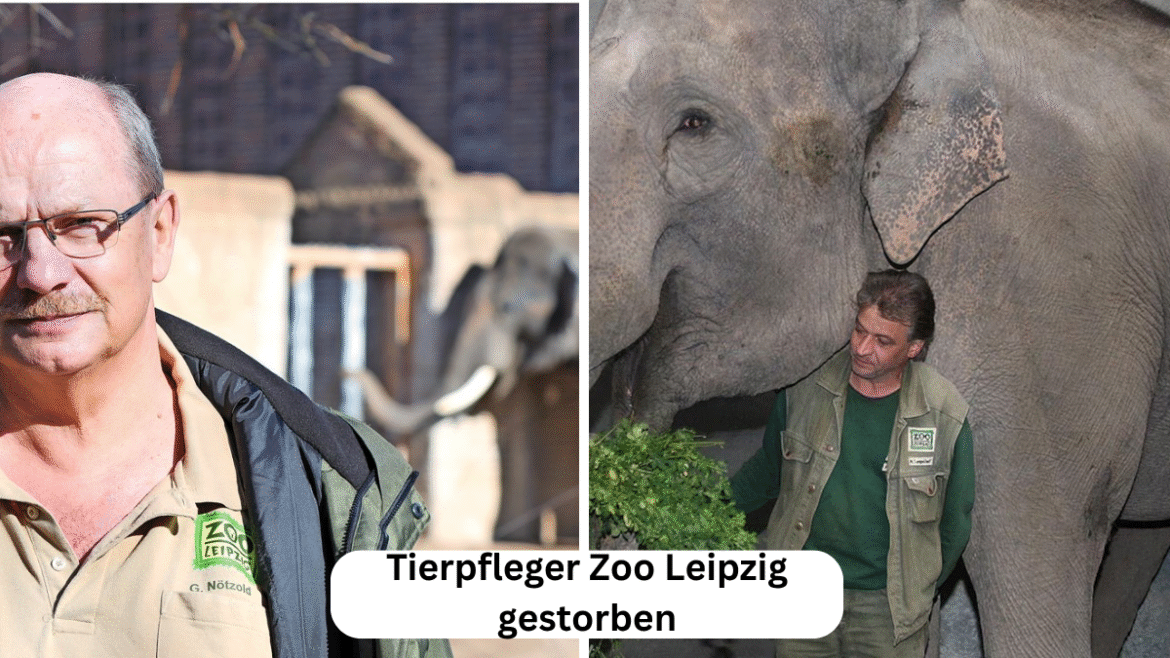 Tierpfleger Zoo Leipzig gestorben: Zwischen Tragödie, Verantwortung und Erinnerung